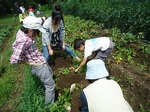 130623 (40)_2.jpg